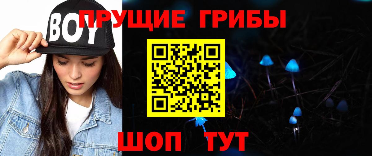 Псилоцибиновые грибы Psilocybine cubensis Острогожск